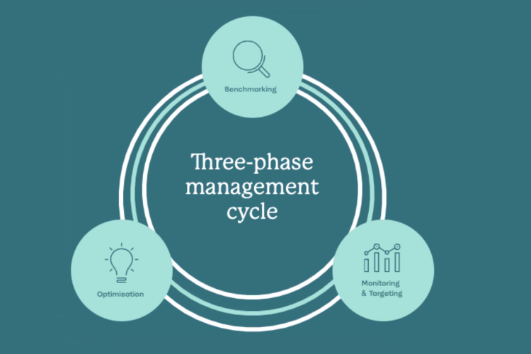 Three phase management cycle